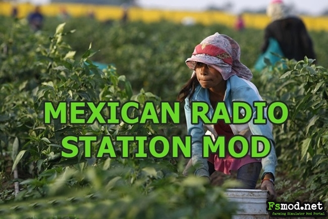 FS17 – 25 Mexican Radio Stations