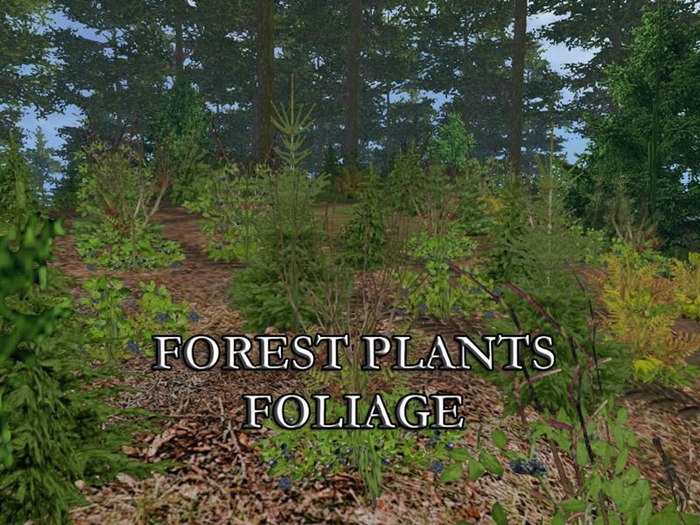 FS17 - Forest Plants V1