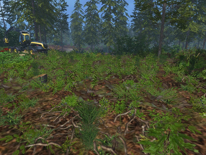 FS17 - Forest Undergrowth V1