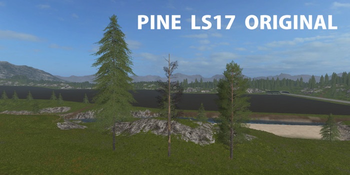 FS17 - Pine Orginal V1