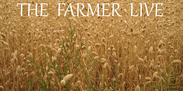 FS17 - The Farmer Live V 1