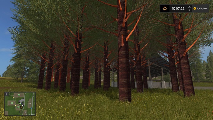 FS17 - Redwood Trees V1