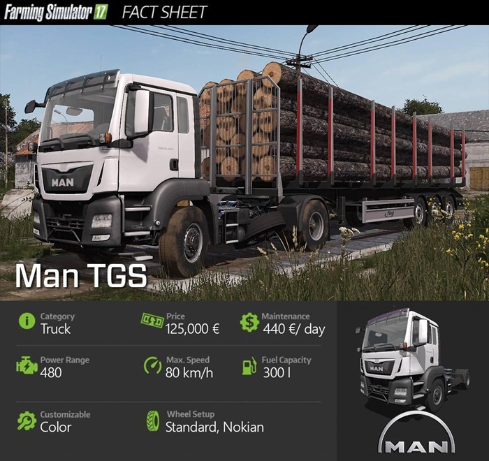 FS17 - MAN TGS Pack