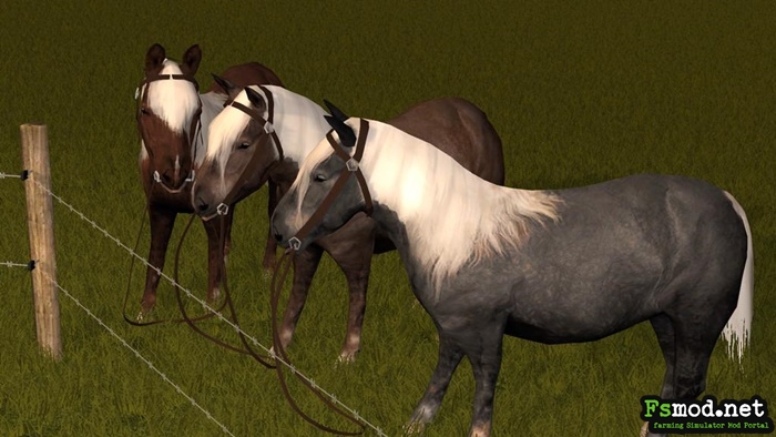 FS17 - Rideable Pony V1.0.0.0