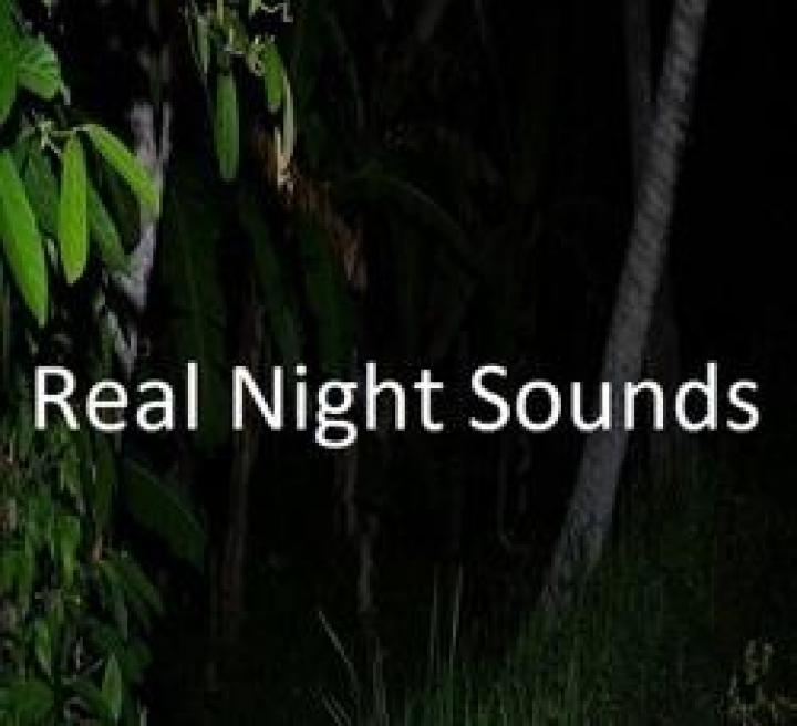 FS19 - Real Night Sounds V1