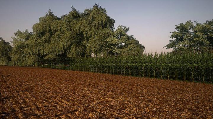 FS19 - Corn And Soybean Textures V1