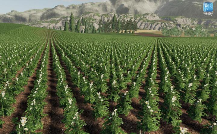 FS19 - Forgotten Plants - Potato / Sugarbeet / Oilseed Radish V1