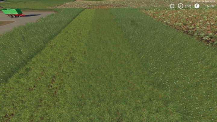 FS19 - Grass Texture V1.0
