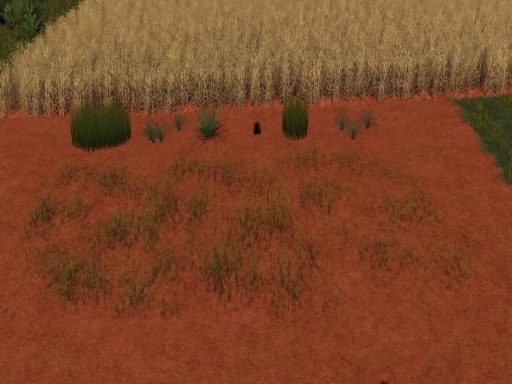 FS19 - Placeable Grass V1.0