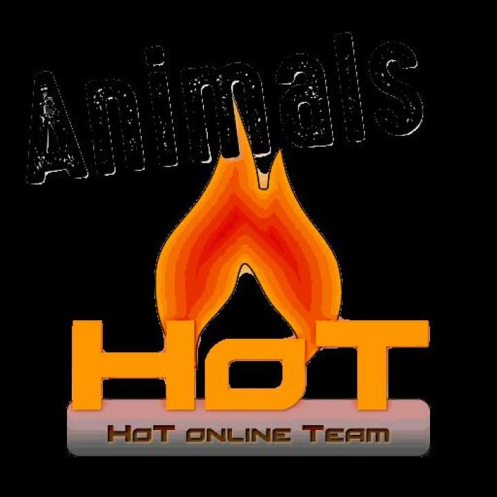 FS19 - Hot Animals V1.2