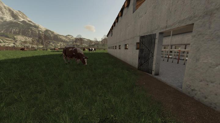 FS19 - Polish Cow Pasture V1.0