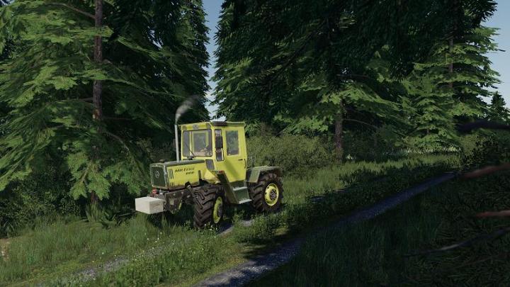 FS19 - 2 Small Front Weights for Oldies V1.0