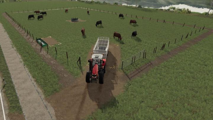 FS19 - Cattle Pasture V1.0