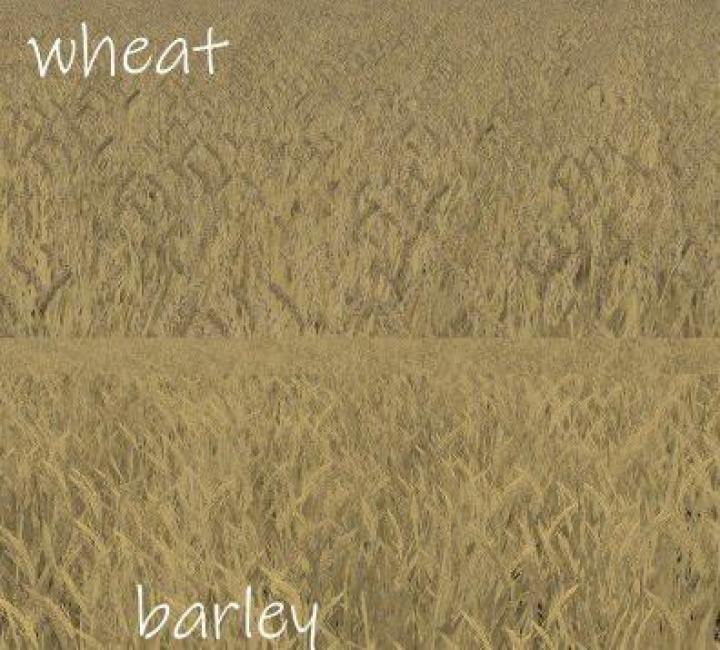 FS19 - Wheat - Barley Texture V1.0