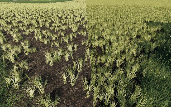 FS19 - Better Wheat Barley V1.0
