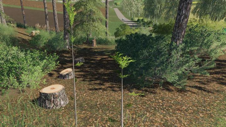 FS19 - Player Plant Trees V1.0