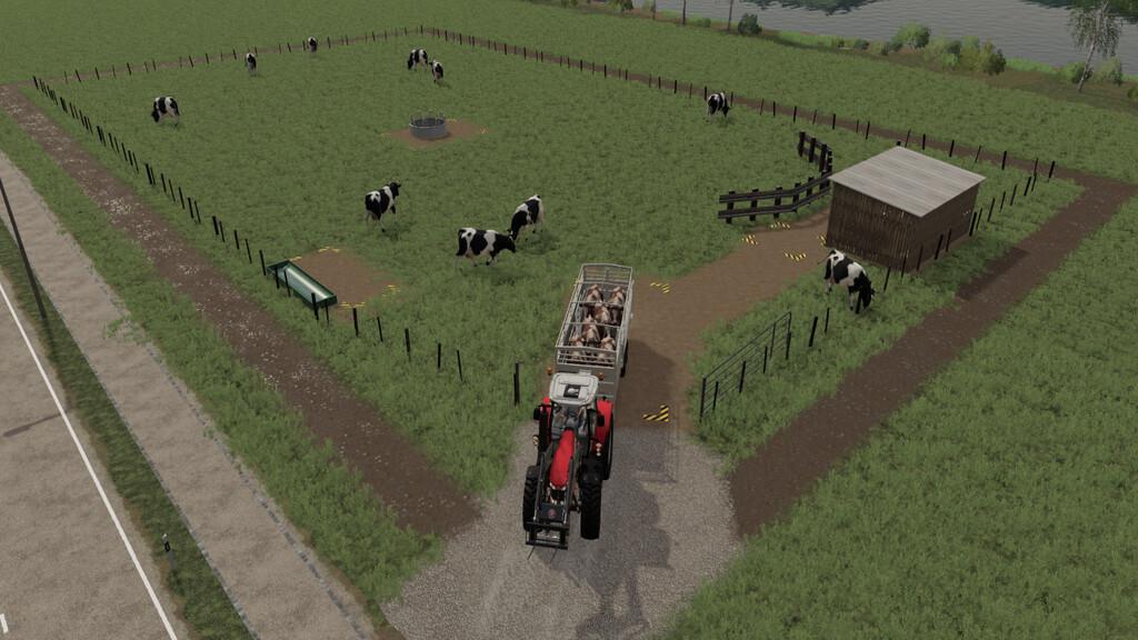 Dairy Cow Pasture V1