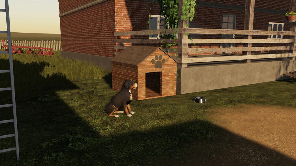 Polish Dog House V1