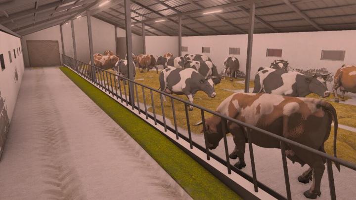 Cowshed V1.0