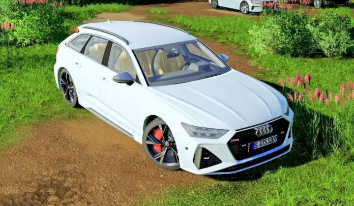 Audi Rs6 Avant 2020 V1.0