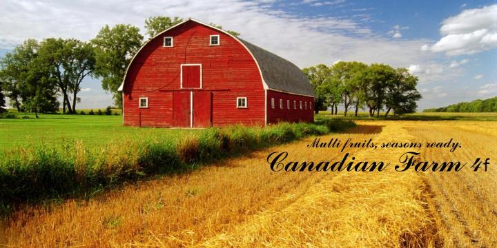 Autodrive Courses For Canadian Farm Map 4F V1.0