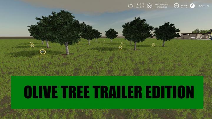 Olive Tree Trailer Edition V1.0