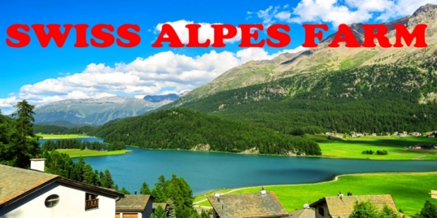 Swiss Alps Farm Map V1.0
