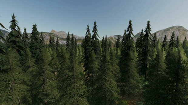 Forest Valley Map V1.0
