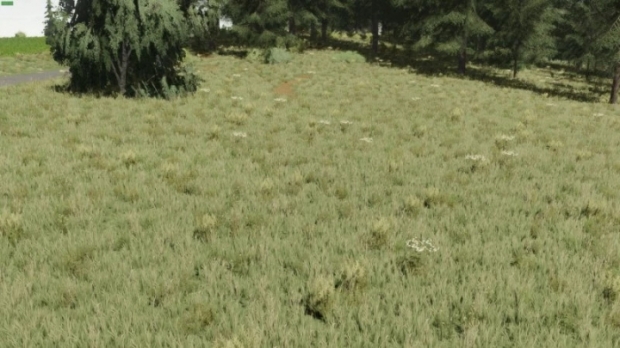 Textures Meadow V1.0
