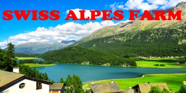 Swiss Alps Farm Map