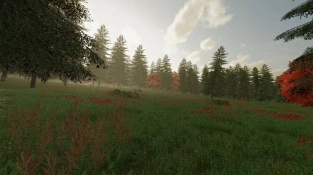 The Risoux Forest V1.1