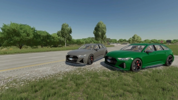 Audi Rs6 Avant C8 V2.0