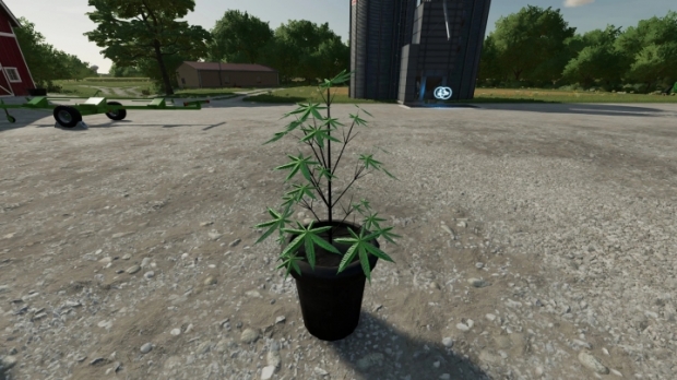 Cannabis Plants Pack V1.0