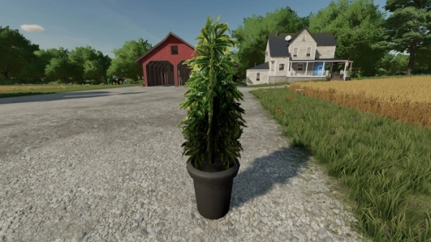 Cannabis Plants Pack V1.0