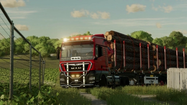 Man Tgx Forest Semi-Truck V2.0.0.1