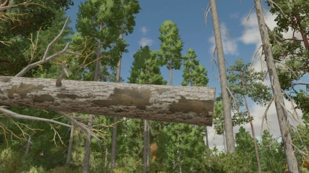 Lumberjack V1.5