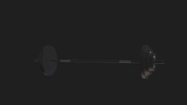Barbell Weight V1.0