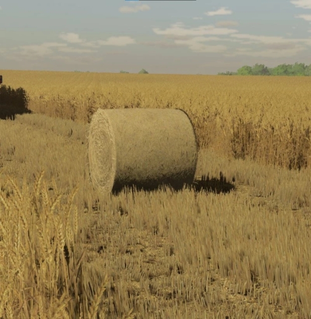 Barley And Wheat Textures V1.0
