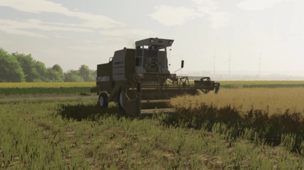 Textures Of Canola V1.0