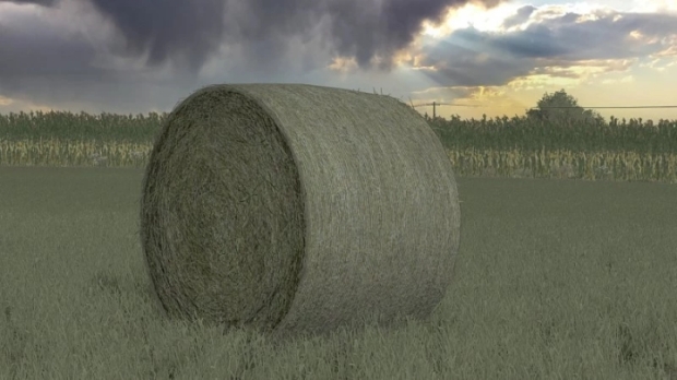 Bales Texture V1.0