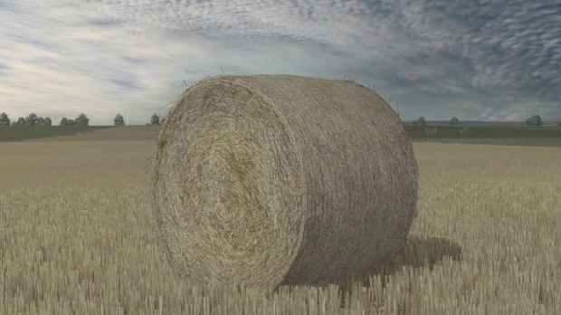 Bales Texture V1.0