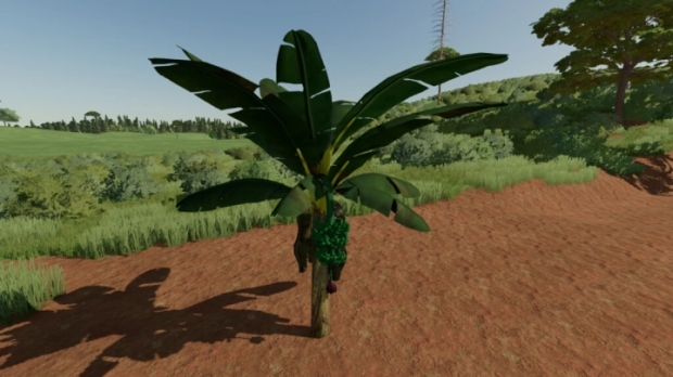 Banana Tree V1.0