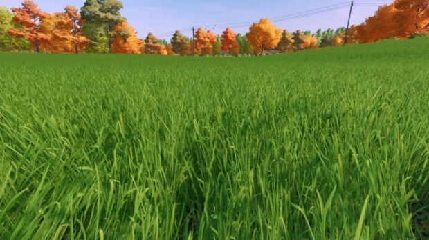 Grass Texture V1.0