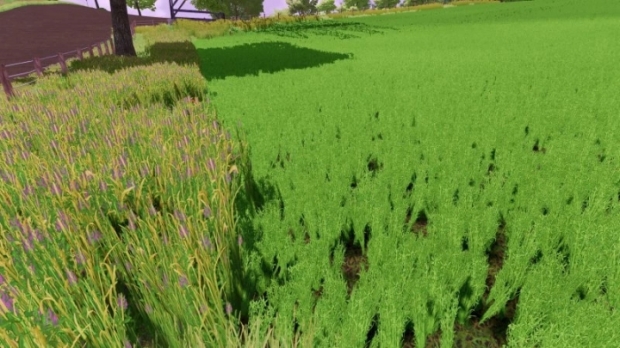 Grass Texture With Alfalfa V1.0