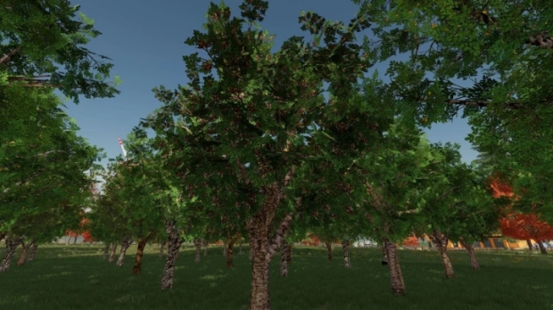 Orchards Fruits V1.0.0.1