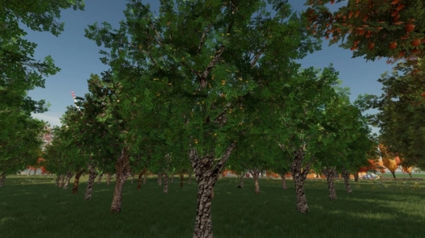 Orchards Fruits V1.0.0.1