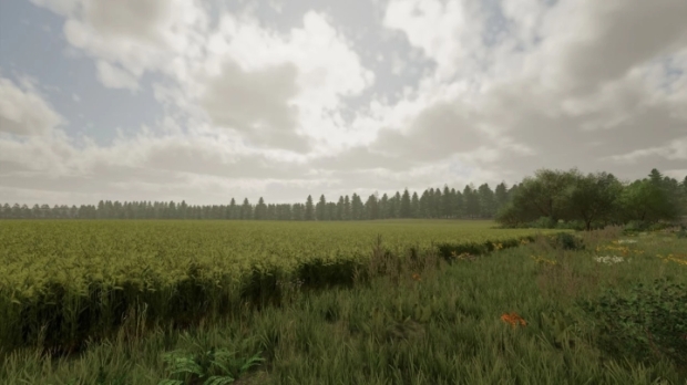 Vesele Map V1.9.2.0