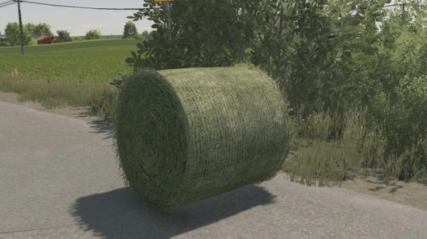 Bale Texture 125Cm V1.0.0.1