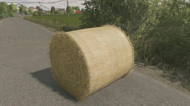 Bale Texture 125Cm V1.0.0.1