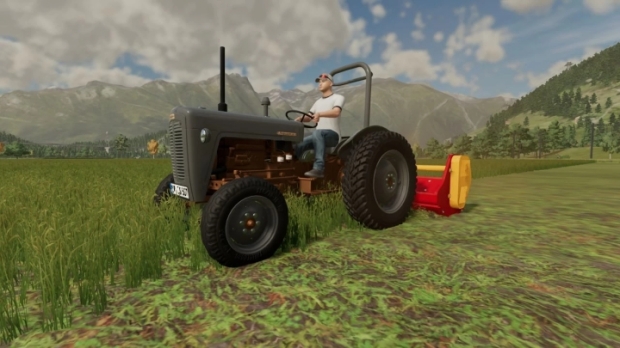 Massey Ferguson 35 4Cyl V1.0